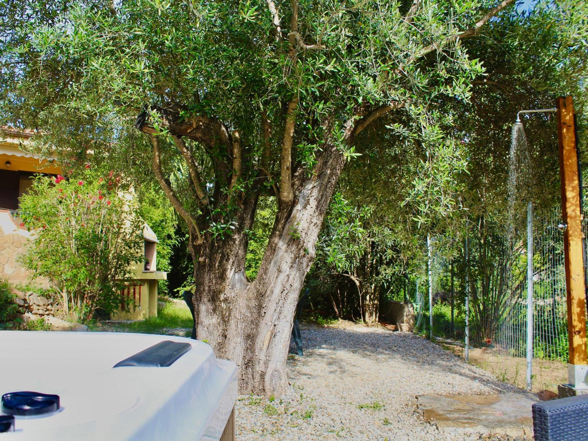 Villa Pelau - Holiday Home Jerzu Εξωτερικό φωτογραφία